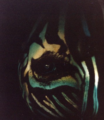 Olivais Dock and Acqua Matrix balloon